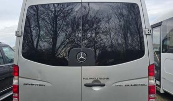Mercedes 513CDI Sprinter Accessible Conversion full
